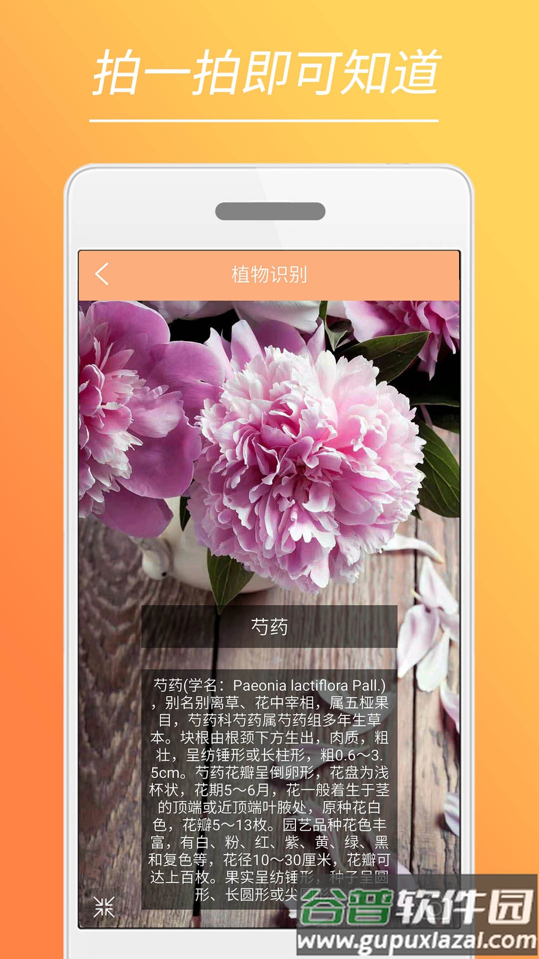 时光美图app截图5