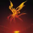 Phoenix Nirvana appv1.4.7