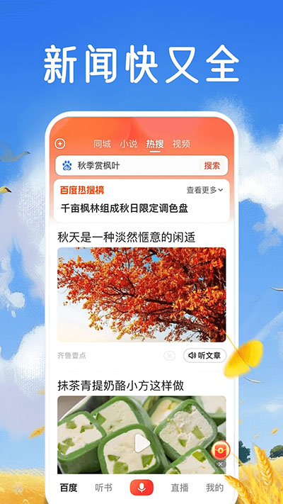 百度大字版2024最新版(百度畅听版)截图4