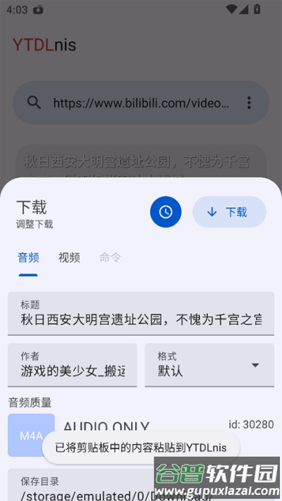 ytdlnis官方版截图3