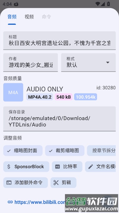 ytdlnis官方版截图4