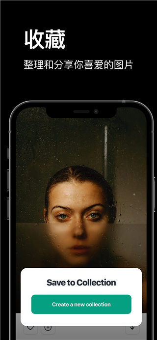 pexels官方版app截图5
