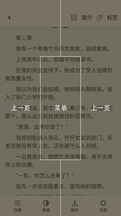 轻文阁小说app最新版截图4