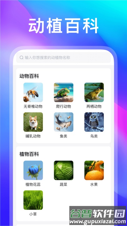动物世界软件截图1