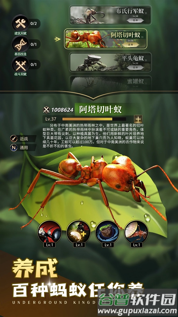 小小蚁国应用宝截图5
