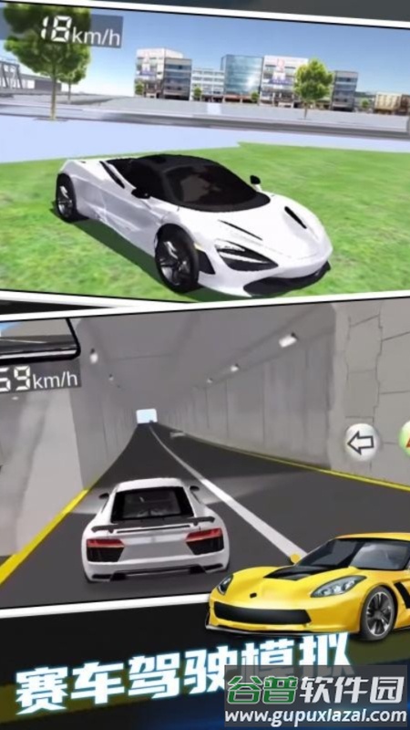 疯狂赛车驾驶模拟器截图3
