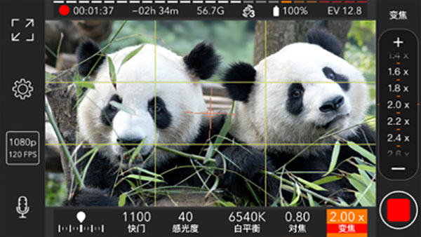 ProMovie官方版截图3