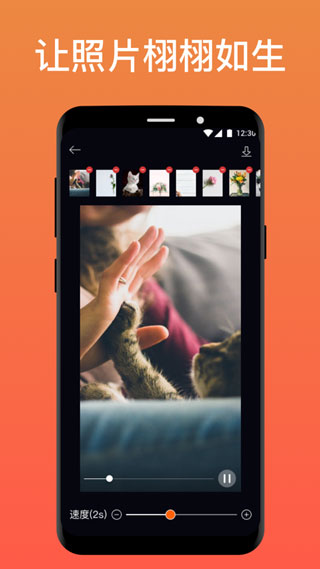 pixaloop软件最新版截图2