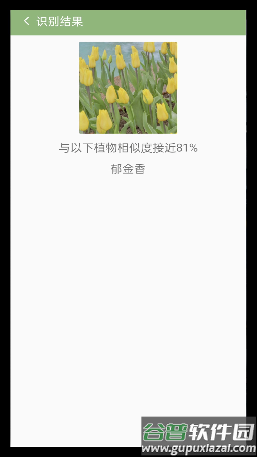 拍图识花app截图3