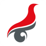 学信网app官方版v2.4.1