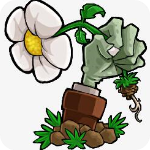 植物大战僵尸真无双版v1.0.0.1