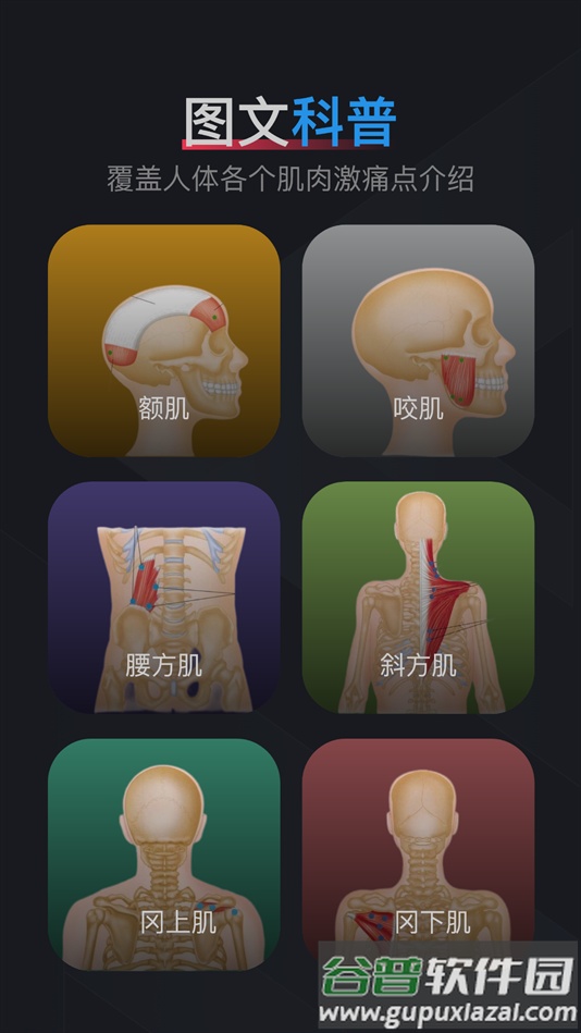 肌肉激痛点图谱软件下载截图1