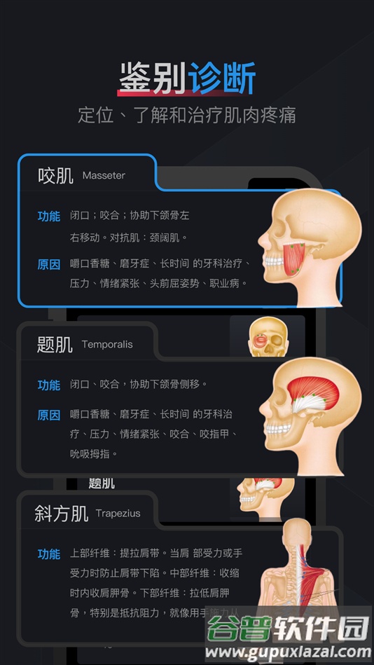肌肉激痛点图谱软件下载截图2