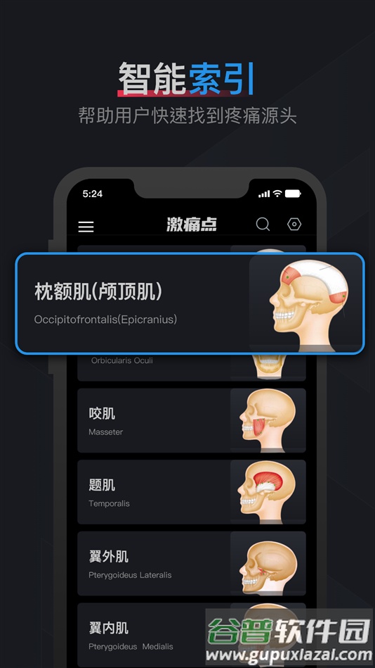 肌肉激痛点图谱软件下载截图4