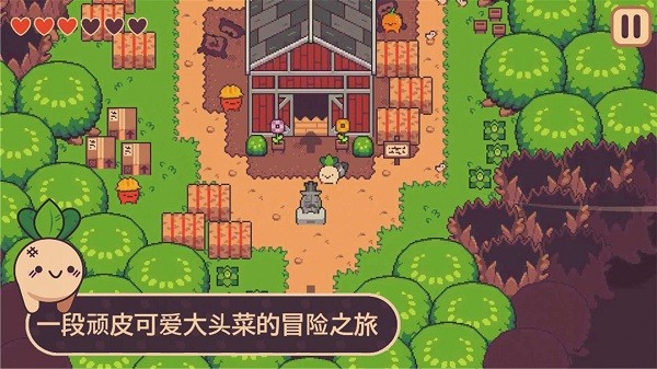 大头菜小子游戏截图3