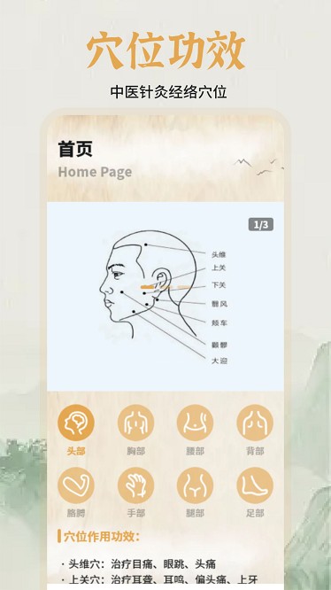 中医经络穴位图谱官方版截图2