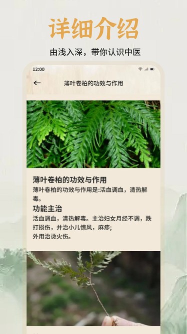 中医经络穴位图谱官方版截图4