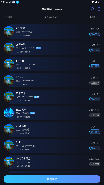 贝锐蒲公英联机平台手机版截图3