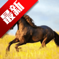 你的电视TV新版软件(YOUR TV)v2.4.0