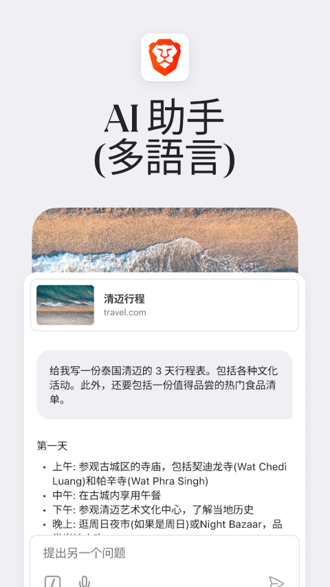 brave浏览器中文版截图2