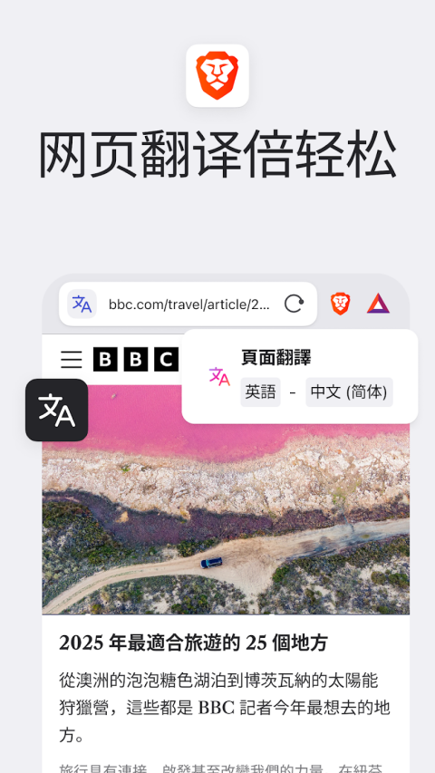 brave浏览器中文版截图4