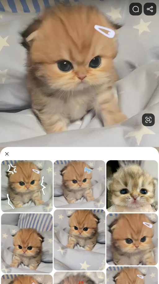 Pinterest安卓手机app最新版截图5