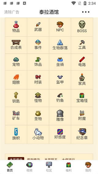 泰拉酒馆官方正版截图2