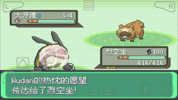 口袋妖怪绿宝石802正式版截图2