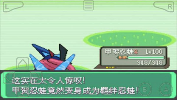 口袋妖怪绿宝石802正式版截图3
