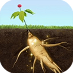 夺笋高手官方正版v1.5.8