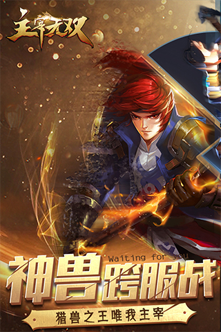 主宰无双奇迹手游截图1