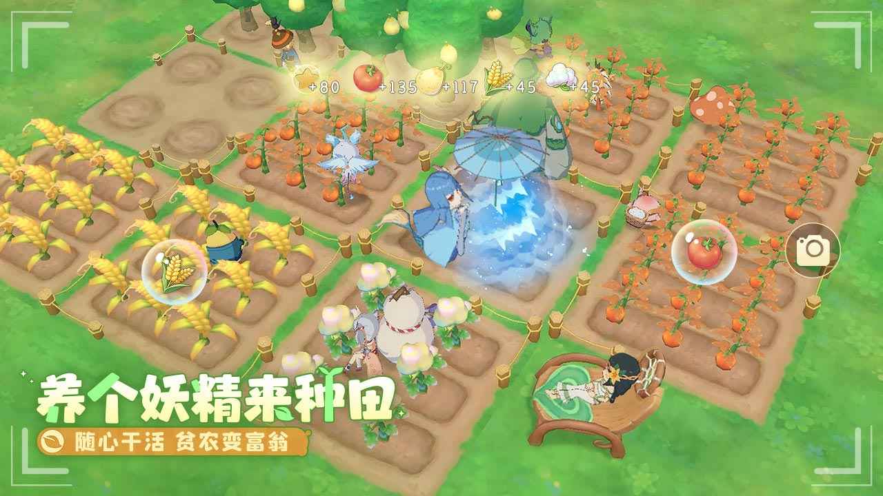 织梦森林手游安卓版截图3