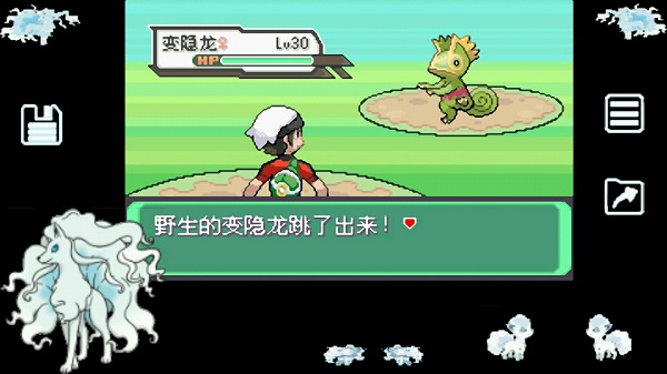口袋妖怪漆黑的魅影自带金手指版截图2