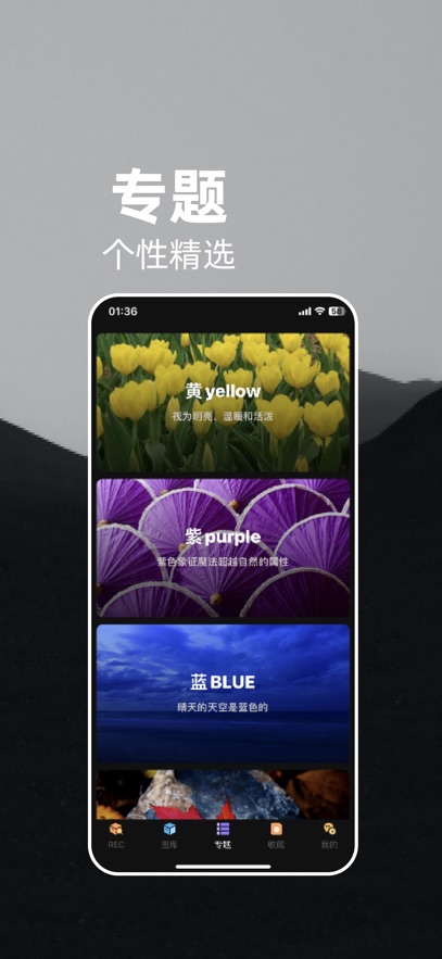 量岛壁纸app手机版截图1