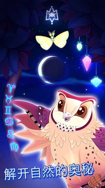 彩翼之星夜最新版截图1