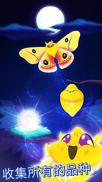 彩翼之星夜最新版截图2