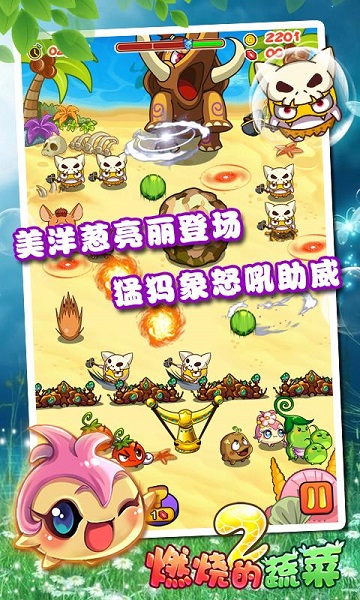 燃烧的蔬菜2新年版截图1