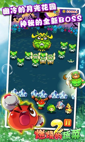 燃烧的蔬菜2新年版截图2