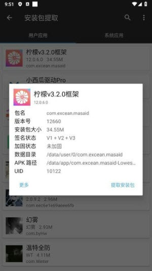 柠檬v3.2.0框架(最新安卓10-14框架).apk截图3