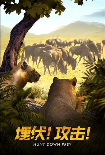 Beast Lord游戏官方版截图1