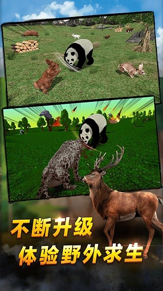 熊猫模拟器最新版截图3