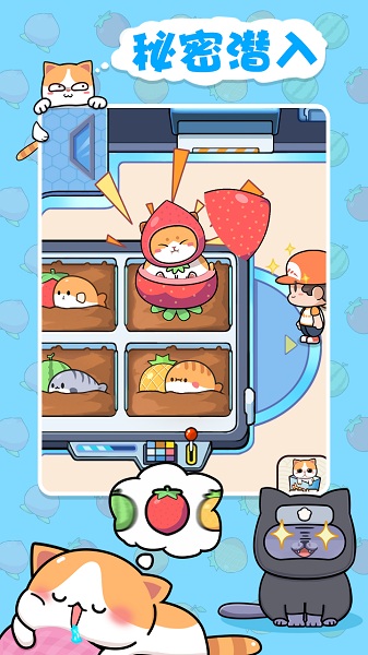 蓝星猫猫教手游截图3