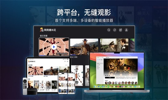 网易爆米花电视版安装包截图3