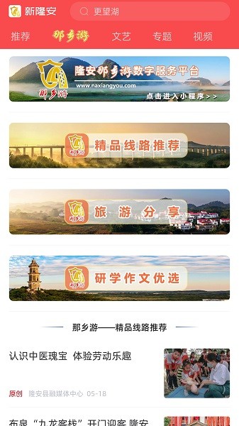 新隆安客户端截图1