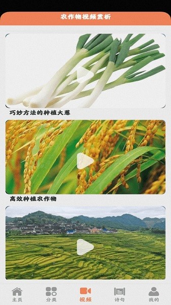田园小院官方正版截图2