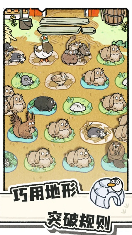 猫神牧场官方正版手机版截图4