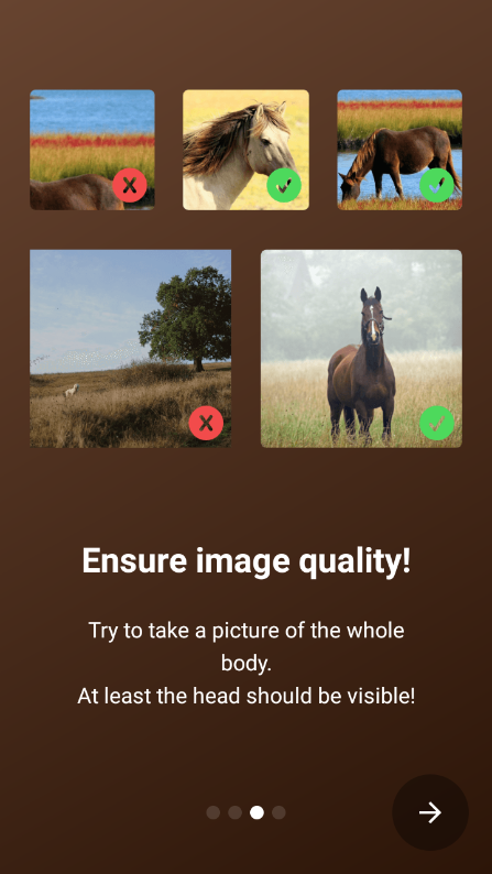 Horse Scanner马匹扫描仪高级版解锁版截图4