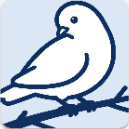 bbspace客户端手机版v1.6.6