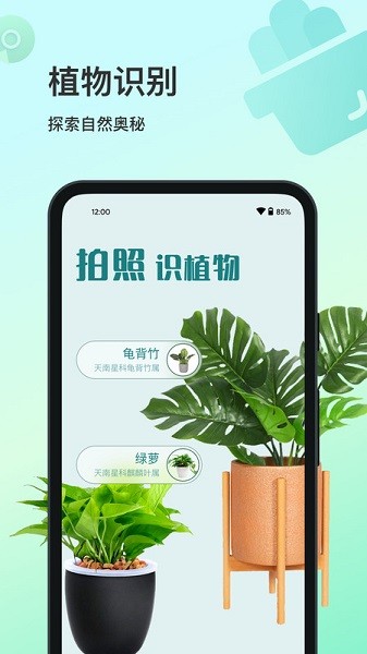 花卉识别软件免费版截图1