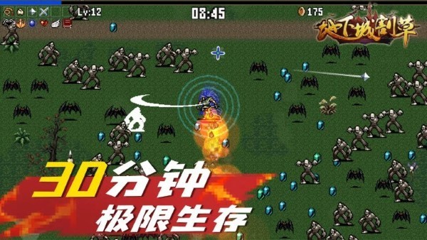 地下城割草最新版截图2